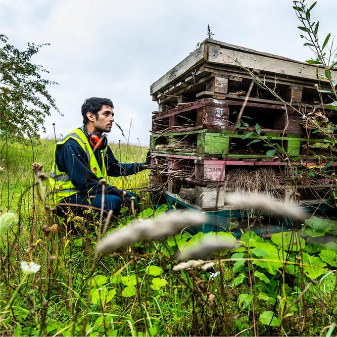 A Mitie employee in a meadow, wearing a high vis jacket, crouching next to a stack of old wooden pallets being turned into a wildlife environment
