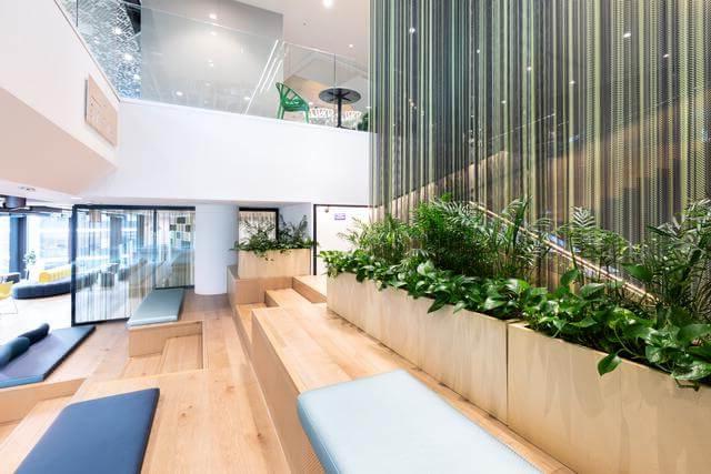 Empty modern office space in white and light-coloured wood, with green plants
